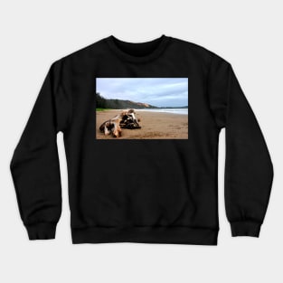 Vietnam - Plage de Miu Né Crewneck Sweatshirt